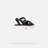 Adacter S B Donna