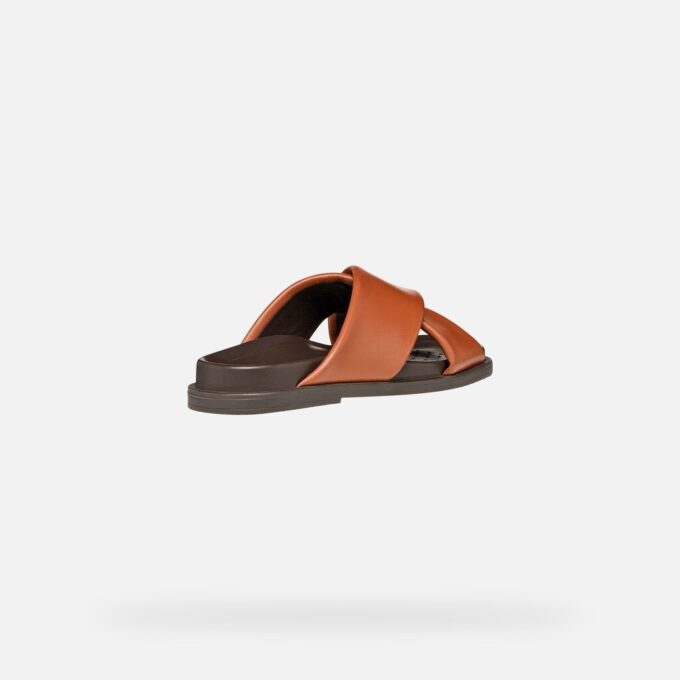 Adelash Donna Adelash Donna