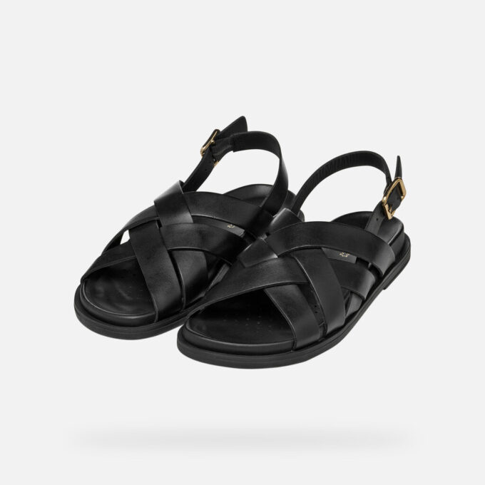 Adelash Donna