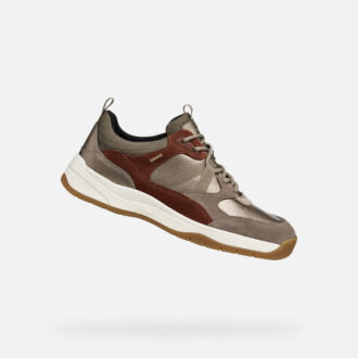 Berinike Abx Donna