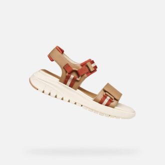 Flextride S Donna