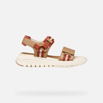 Flextride S Donna