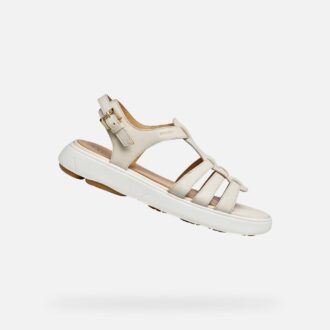 Nebula 2.0 C S Donna