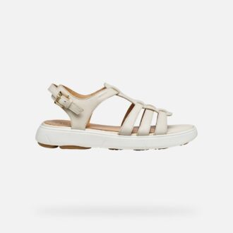 Nebula 2.0 C S Donna