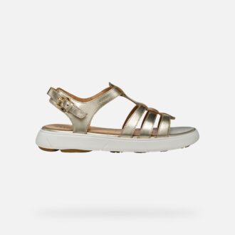 Nebula 2.0 C S Donna