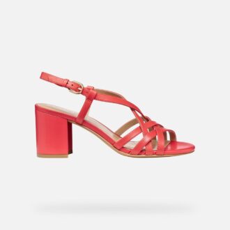 Virnilisa 65 S Donna
