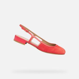 Virnilisa B Donna Virnilisa B Donna