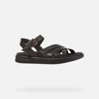 Xand 2S Donna